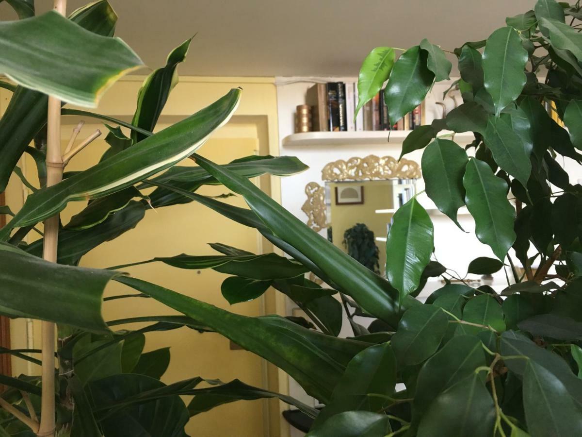 Appartement Finestra Su Genova Extérieur photo